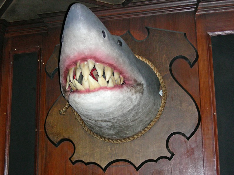 DSCN1202.JPG