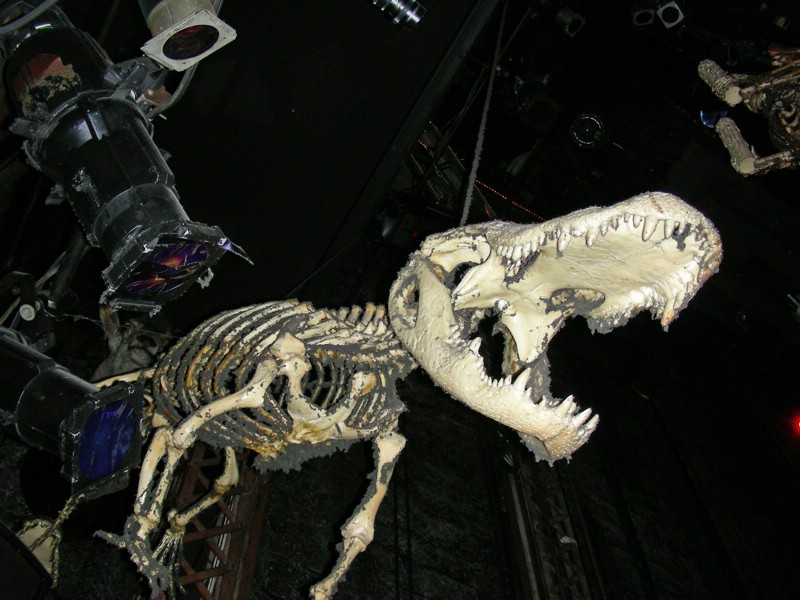 DSCN1205.JPG