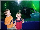DSCN1132.JPG