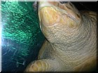 DSCN1137.JPG