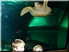 DSCN1138.JPG