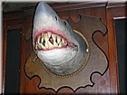DSCN1202.JPG