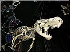 DSCN1205.JPG