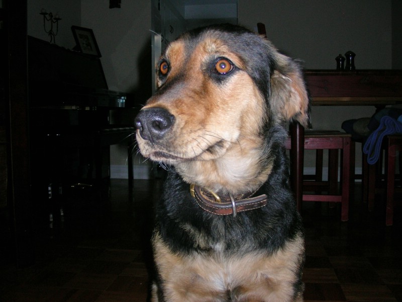 DSCN1090.JPG