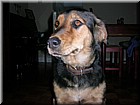 DSCN1090.JPG