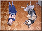 DSCN1092.JPG