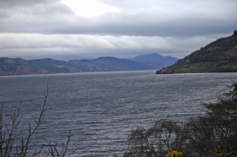 DSC_0006.JPG