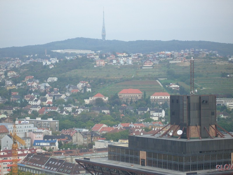 IMGP1222.JPG