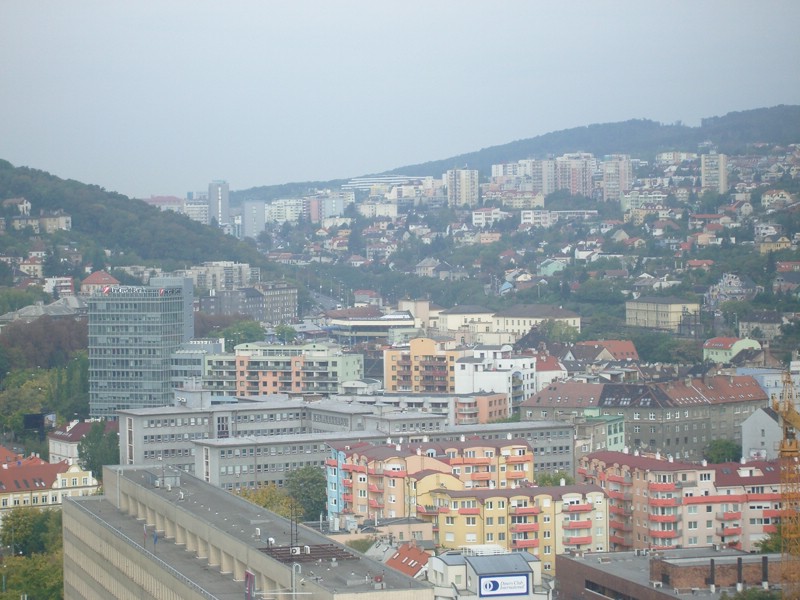 IMGP1223.JPG