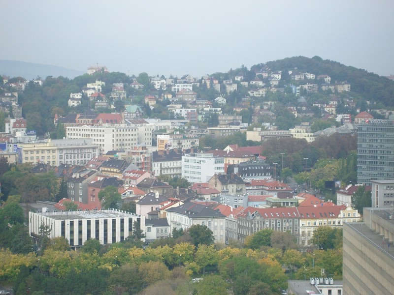 IMGP1224.JPG