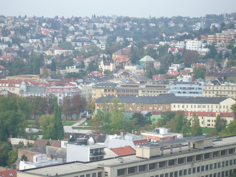 IMGP1228.JPG