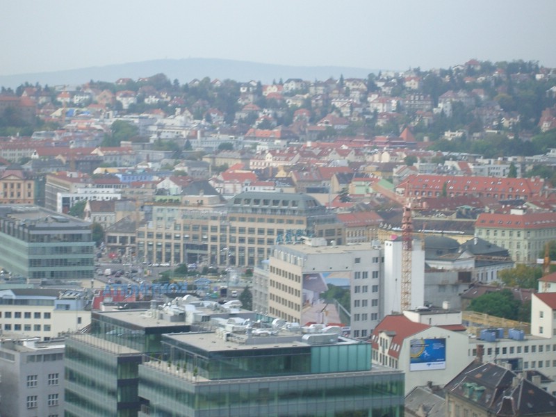 IMGP1229.JPG