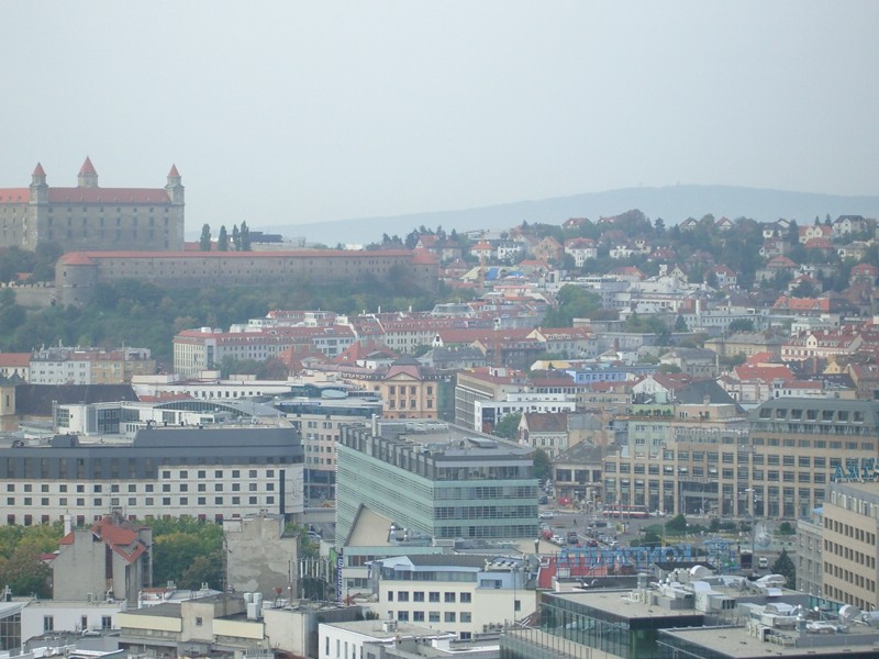 IMGP1230.JPG