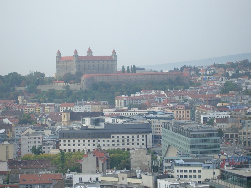 IMGP1231.JPG