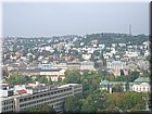 IMGP1211.JPG