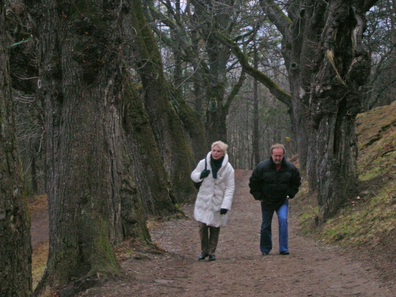 DSCN1821.JPG