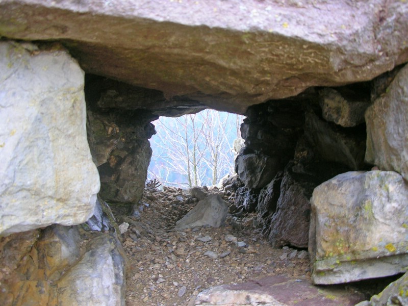 DSCN1833.JPG