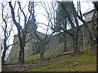 DSCN1819.JPG