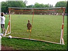 DSCN1067.JPG