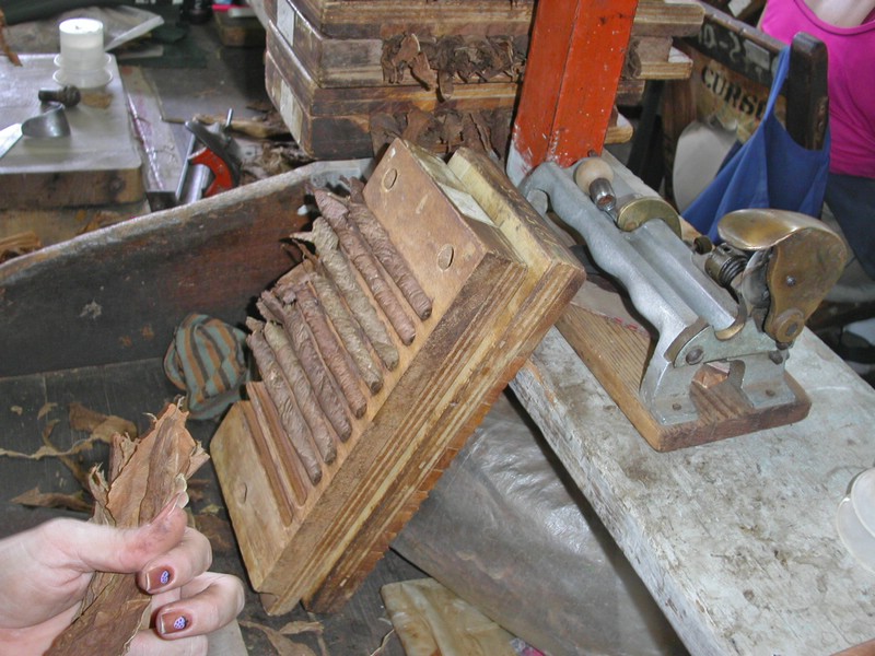 PICT0178.jpg