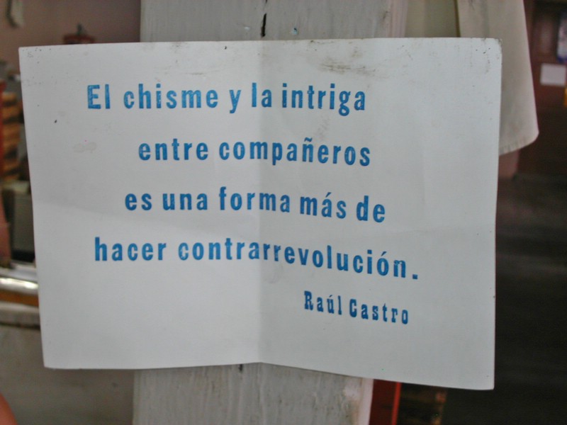 PICT0181.jpg