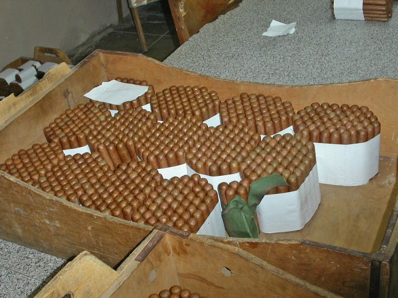 PICT0182.jpg