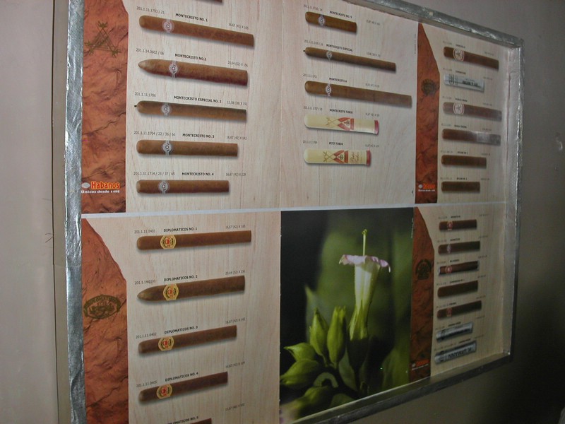 PICT0184.jpg