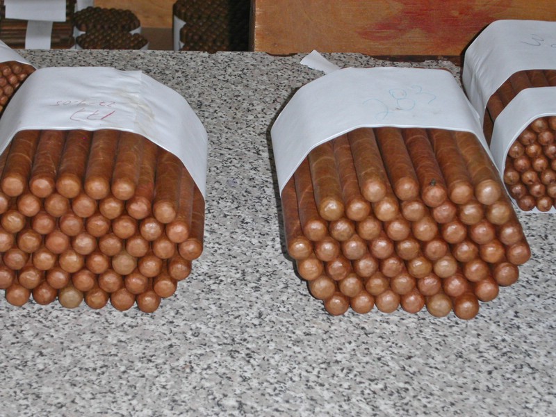 PICT0189.jpg
