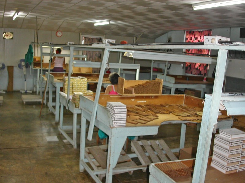 PICT0195.jpg