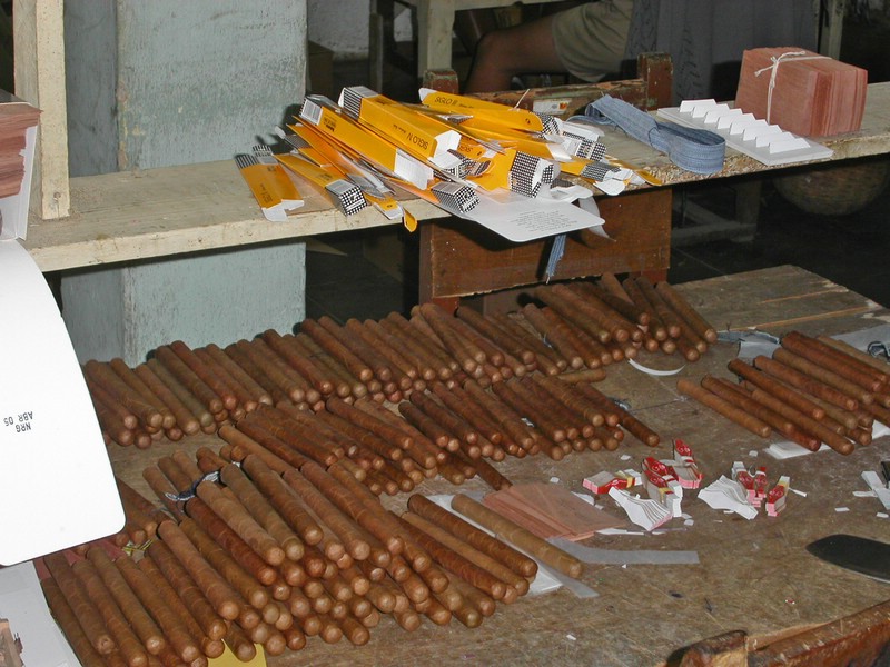 PICT0202.jpg