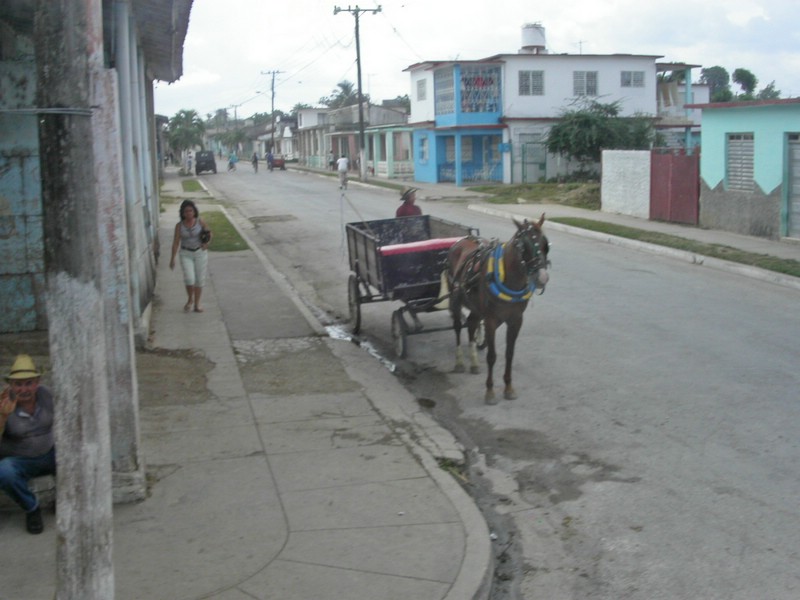 PICT0207.jpg