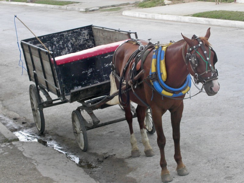 PICT0209.jpg