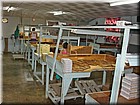 PICT0195.jpg