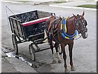 PICT0209.jpg