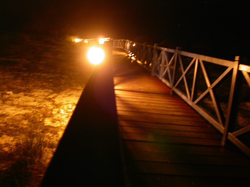 PICT0052.JPG