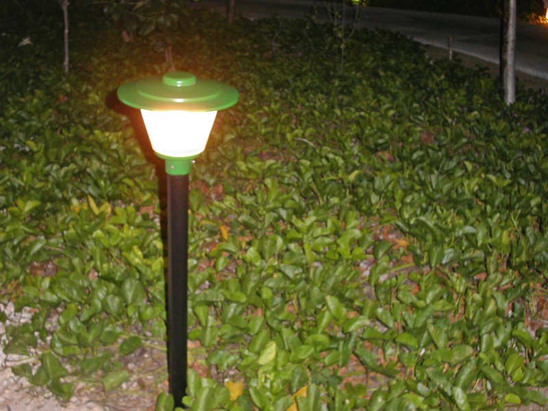 PICT0072.jpg