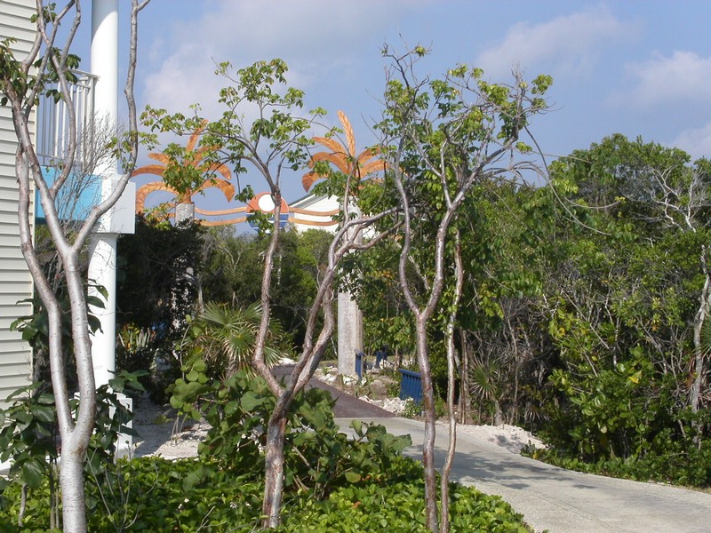 PICT0073.JPG