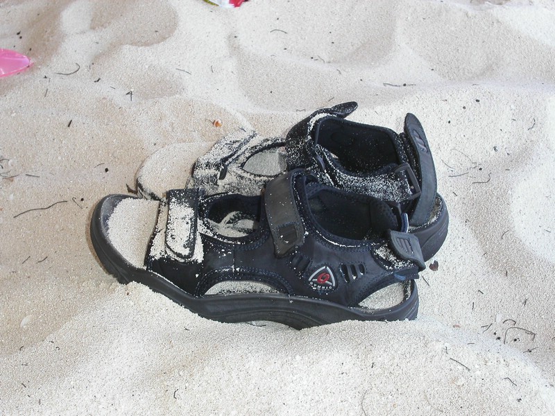PICT0081.JPG