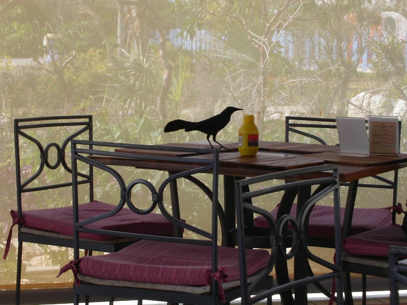 PICT0097.JPG