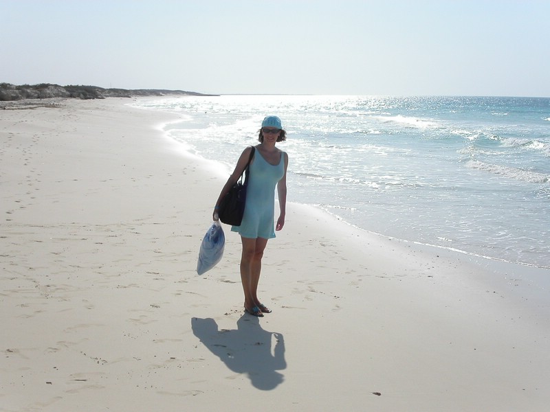 PICT0102.JPG