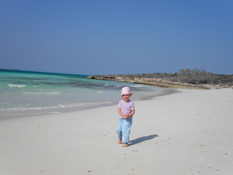PICT0103.jpg