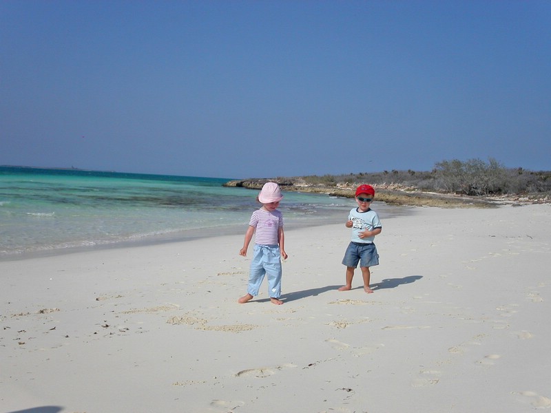 PICT0104.jpg