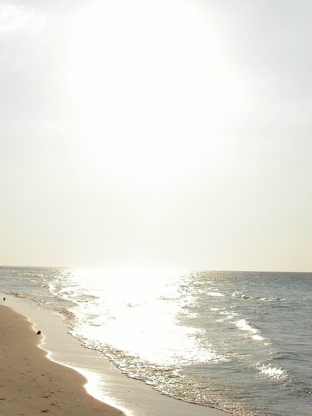 PICT0109.jpg