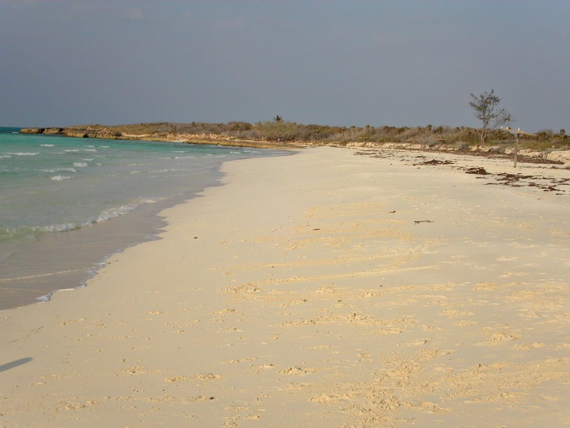 PICT0110.jpg