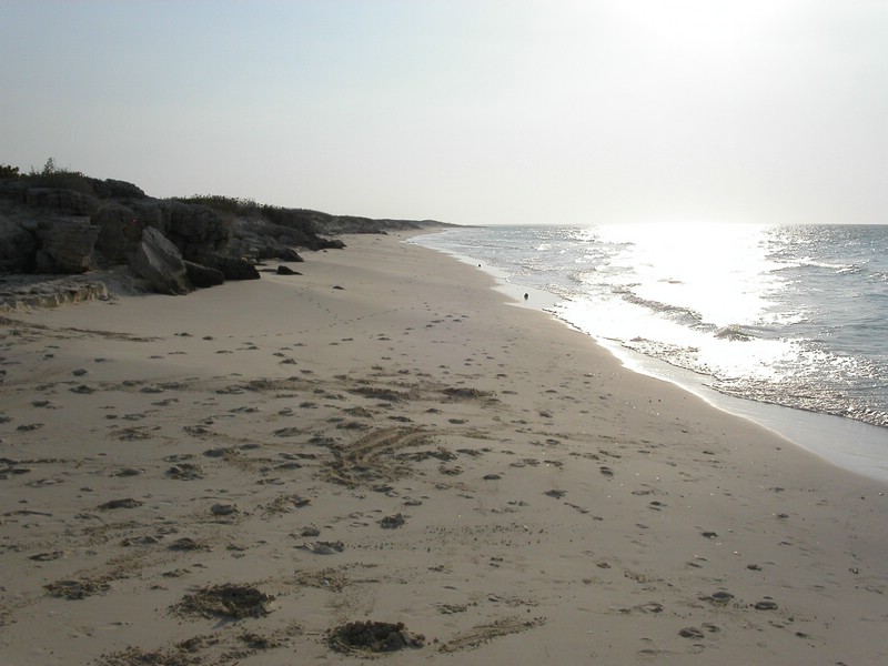 PICT0113.JPG