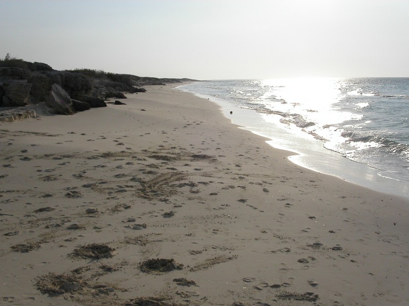 PICT0114.JPG