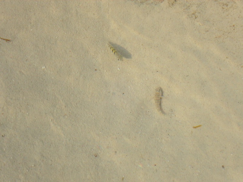 PICT0116.JPG