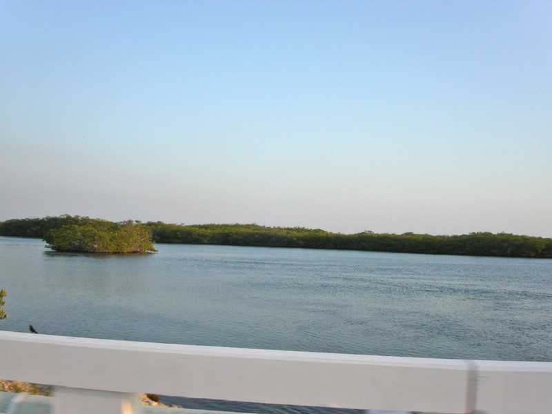 PICT0122.jpg