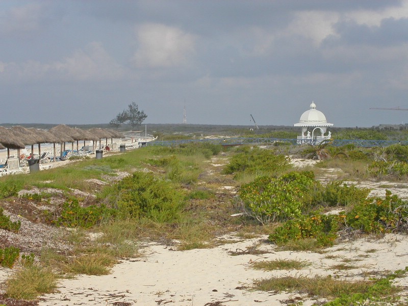 PICT0241.jpg