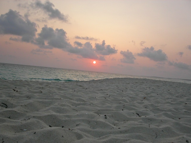 PICT0286.jpg